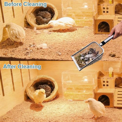 Chicken Poop Scooper, 2pcs Lightweight Sturdy Metal Scoop & Rake with 3.8mm/5mm Mesh for Small Coops, Easy Sifting Sand & Waste, Essential Backyard Poultry Cleaning Supplies