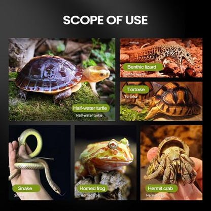 Bearded Dragon Water Bowl, Self Dispensing Fountain for Terrarium with Constant Supply, Reservoir Basin Unit, Home Garden Yard Outdoor Habitat Decor for Chameleon Iguana Frog Medium - size: M1