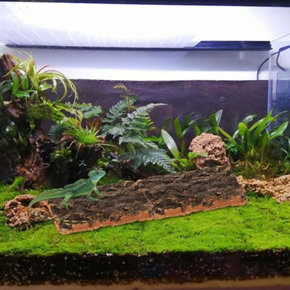 Garneck 5Pcs Reptile Terrarium Cork Bark Background - Natural Cork Wood for Reptile Tank Decor - Vivarium and Gecko Enclosure Background with Climbing and Hiding Features