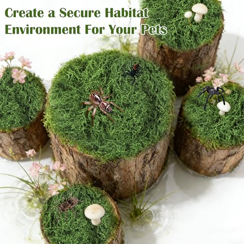 Jumping Spider Habitat Décor Jumping Spider Enclosure Accessory | 2PCS Spider Web, 1 Piece Faux Grass, 2PCS Natural Wood Ledge, 4PCS Strong Magnet for Small Reptile Enclosures