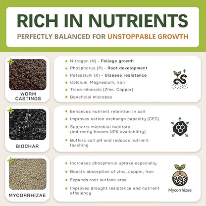 Premium AROID Soil Blend for Monstera, Philodendron, Alocasia, Anthurium – Chunky, Optimally Aerated Soil – Organic & Ready to Use – Supercharges Root and Foliage Growth - (2QTS) - size: 2 QTS
