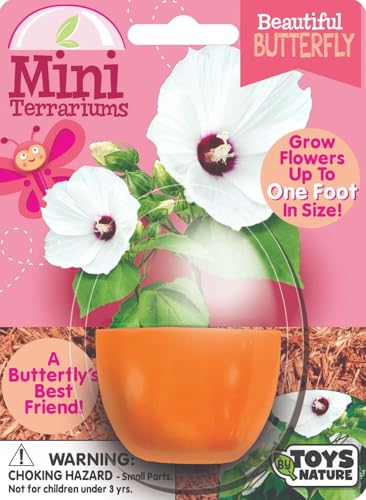 Toys By Nature Mini Terrarium Flowering Bundle, 100% USA Made Complete Starter Kit Includes 2 Each of Lobelia, Dixie Belle Hibiscus, Rose of Sharon, Easy to Grow Planting Seeds Just Add Water - color: Flowering Bundle