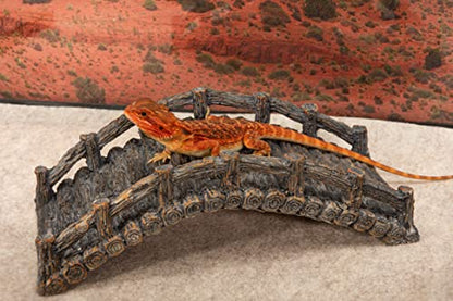 Reptile Bridge, Brown, Reptile Habitat Accessory