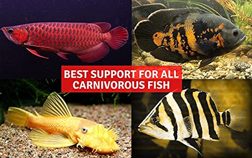 A.D.P. Carnivorous Arowana Fish Food, 55% High Protein Floating Pellets with Astaxanthin & Spirulina, Tropical Fish Feed for Arowana, Oscar, Pleco & Catfish, Color Enhancing - 100 g - color: Arowana Food