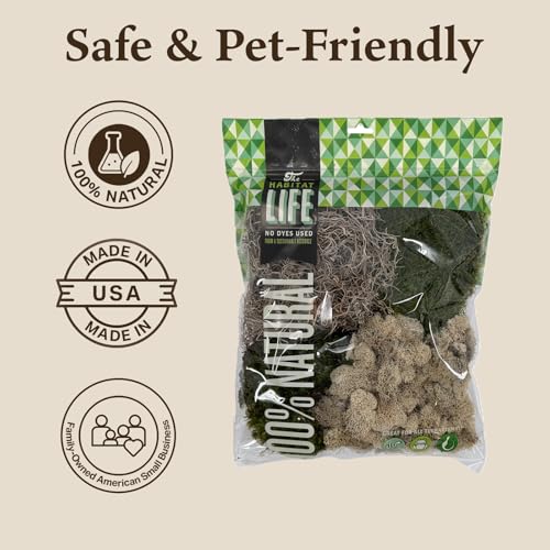 Variety Mix Moss for Terrarium Habitats, Medium 1-Pack | Preserved Moss for Reptiles, Amphibians & Invertebrates Terrariums, Humidity Control, Soft, Dye-Free, Family Owned, USA Made - size: Medium 1-pack, style: Variety Mix