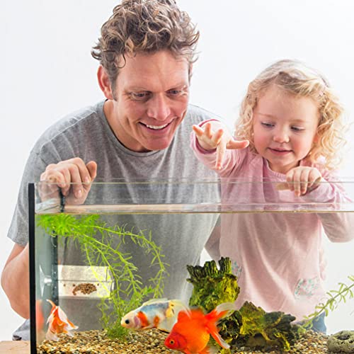 GANAZONO 6pcs Reptiles Food Dishes Feeder Bowls Square Dishes Trays Fish Tank Suction Cups Shrimp Feeder Aquarium Accessories