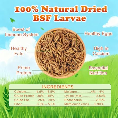 5.5 LBS Dried Black Soldier Fly Larva/Dried Mealworms - 100% Natural BSF Larvae - 85XMore Calcium Than Mealworms - High Calcium Treats for Chickens, Birds, Reptiles, Hedgehog, Geckos, Turtles- 5.5 LBS - size: 5.5 Pound (Pack of 1)