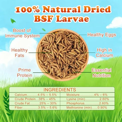5.5 LBS Dried Black Soldier Fly Larva/Dried Mealworms - 100% Natural BSF Larvae - 85XMore Calcium Than Mealworms - High Calcium Treats for Chickens, Birds, Reptiles, Hedgehog, Geckos, Turtles- 5.5 LBS - size: 5.5 Pound (Pack of 1)