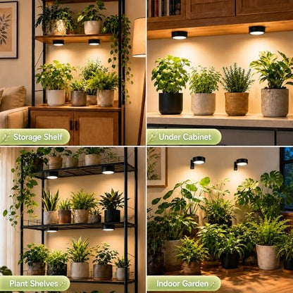 3-Pack Rechargeable Grow Lights for Indoor Plants, Cordless Plant Grow Lamp