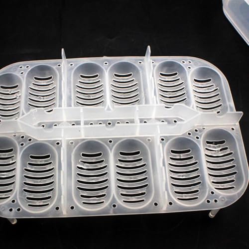 Reptile Breeding Incubator 12 Grids Reptile Egg Incubator Tray | Transparent Amphibians Incubation Tray for Gecko Lizards Snake Lions Mane