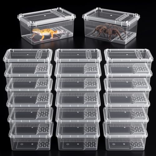 Irenare 20 Pcs Reptile Breeding Box Plastic Spider Enclosure Tarantula Feeding Box for Small Reptile Acrylic Carrier for Mantises Hermit Crabs Small Pet(8.66 x 5.12 x 3.15 Inch, with Basking Platform) - size: 8.66 x 5.12 x 3.15 Inch, style: with Basking P