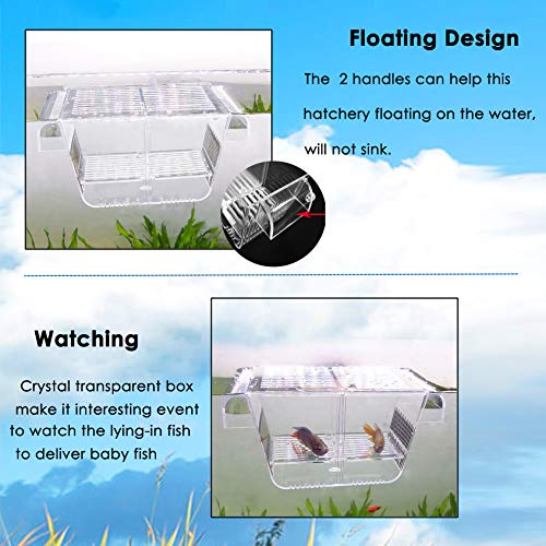 Cepetsma Fish Breeder Box - Hang-on Nursery Fish Tank With Breeding Hatchery, Perf for Aggressive & Injured Species - size: M