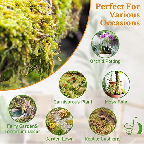 Riare 10OZ Premium Sphagnum Moss for Plants- Natural Long Fiber Plant Moss | 12QT High Expansion, Moisture Retention, Drainage, Dried Orchid Moss for Succulent, Carnivorous, Ferns, Reptiles & Terrariums - size: 12QT/10oz