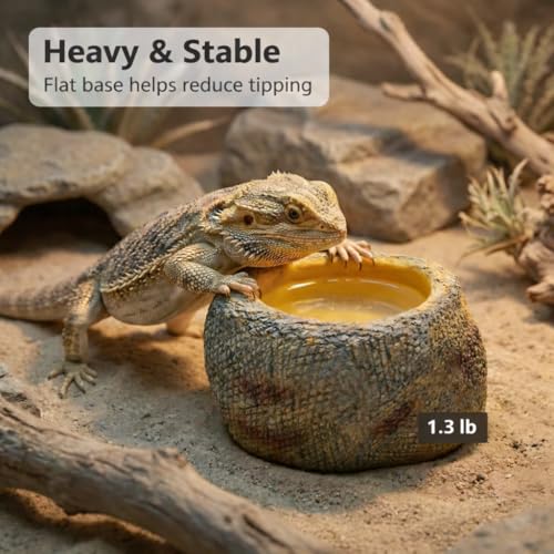 Small Snake Soak Bowl, Resin Reptile Water Dish, 1.3 lb Rock Look | 2-in-1 Drink & Soak, Smooth Basin, Textured Exterior, 4.72 x 3.35 in, Hatchlings & Juveniles
