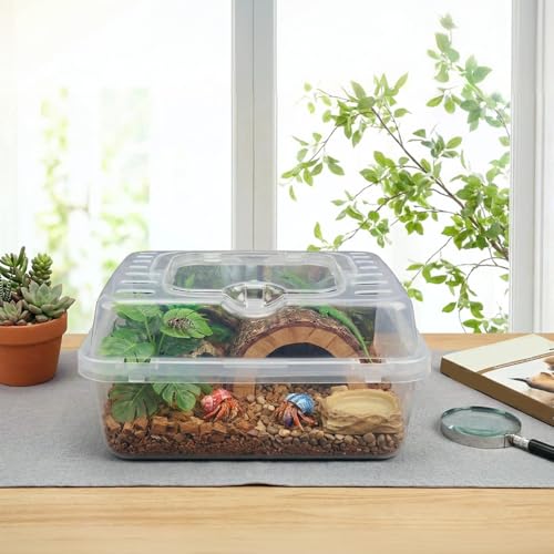 2 Pack Clear Portable Insect Reptile Terrarium Box with Handle Transparent Travel Case for Spider Snail Turtle Hermit Crab Gecko Insects Small Reptiles Amphibians