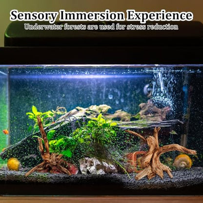 CZFSWT 2Pcs Driftwood for Aquarium, 3.93-5.9" Driftwood Decor, Drift Wood for Fishtank Suitable for Fish Tank Decorations and Reptile Habitats