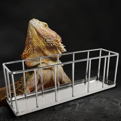 Beaupretty Stainless Steel Reptile Feeder Dish for Tortoise Lizard Small Escape-Proof Pet Food Container Terrarium Bowl Suitable for Bearded Dragon and Gecko Feeding