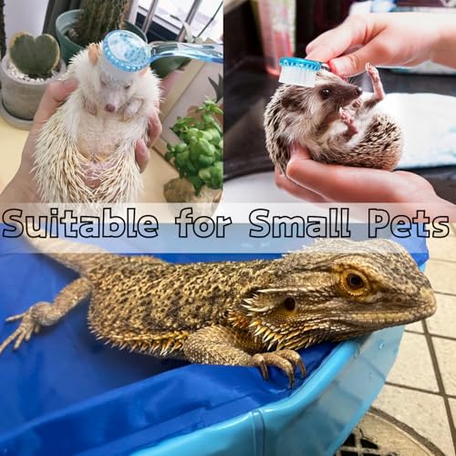 Bearded Dragons Foldable Bathtub with Soft Brush and Towel Set Reptile Accessories Swimming Pool Relax Cleaning Set for Small Pets Guniea Pig Turtle Hedgehog (19.68x3.14In) - color: 19.68x3.14in