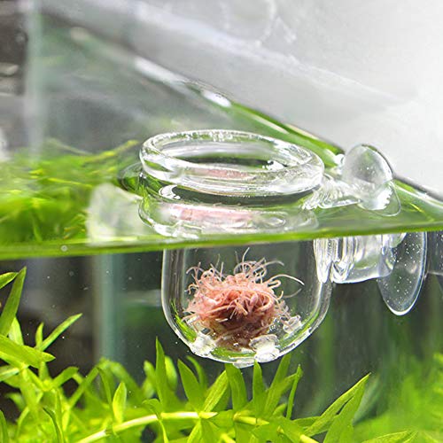 Fish Tank Feeding Cup, Aquarium Red Worm Food Container, Glass Feeder with Suction, Transparent Bowl for Feeding Shrimp Fish Reptiles (Glass Hole Cup)