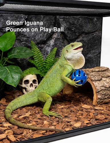 10-Pack Bearded Dragon Toy Balls, Non-Toxic, Bell Enrichment | BPA-free, Smooth Edges, Substrate Compatibility
