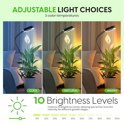 OSANI LED Grow Light 24" Gooseneck Long Arm Grow Lights for Indoor Plants, 48" Wide Coverage, 6000K Full Spectrum with Red Blue LEDs, 10-Level Dimmable, Auto Timer, USB & Adapter, Plant Light Indoor