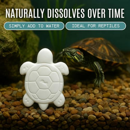 Shellstrong Premium Calcium Block for Aquatic Turtle - Slow Release Water Tank Conditioner - Cuttlebone for Aquarium - Turtle Tank Accessories - 20 Gallon Aquatic Treatment (5 Calcium Blocks) - size: 5 Calcium Blocks