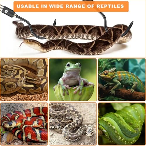 Snake Hooks, Stainless Steel Snake Hook Extendable Handled Desigh for Removling Large or Small Snakes and Reptiles Rattlesnakes Python Copperhead Stainless Steel Handle 35"-65" - size: 35-64inch