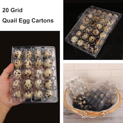 150 Pack Quail Egg Cartons, Clear Plastic Quail Egg Trays, Holds up to 20 Quail Eggs Securely - Your Ultimate Small Eggs Carton Holders for Bulk Storage and Display - size: 150 Pack Quail Egg Cartons 20 Grids
