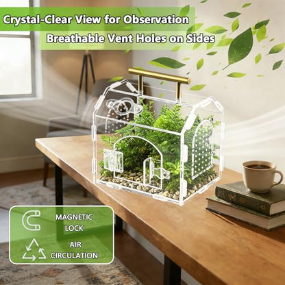 5.9" Acrylic Spider Enclosure, Clear Habitat with Magnetic Door | Clear acrylic habitat with magnetic feeding door and ventilation holes for jumping spiders tarantulas and small invertebrates - size: Handle House Acrylic Terrarium