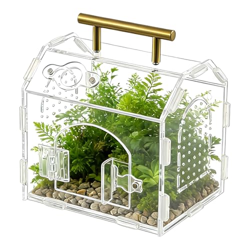 5.9" Acrylic Spider Enclosure, Clear Habitat with Magnetic Door | Clear acrylic habitat with magnetic feeding door and ventilation holes for jumping spiders tarantulas and small invertebrates - size: Handle House Acrylic Terrarium