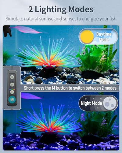 Pawfly 6 W Extendable Aquarium LED Light for 6 to10 Inch Fish Tank with Full Spectrum Brilliant White Blue Red Lights with Daytime & Night Modes and Adjustable Brightness - color: Basic with Timer, size: 6"-10"