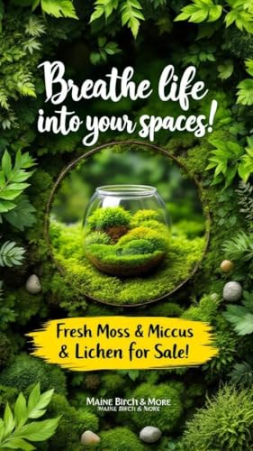 Live Sheet Moss – Fresh Harvested Real for Terrariums, Fairy Gardens, Reptile Habitats, Ground Cover, Kokedama & Dioramas – 8"x10" Re-Sealable Bag – Natural, Moisture-Retaining