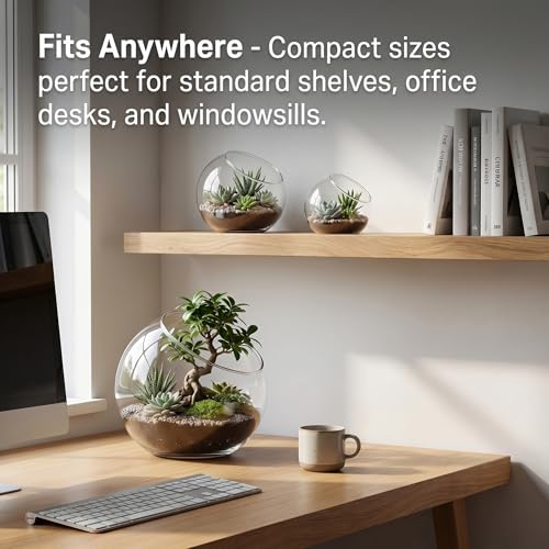 3 Pack Glass Terrarium Containers, Slanted Bowl Air Plant Holder Set | Small Clear Round Succulent Planter Globe for Micro Landscape, Candle Decor