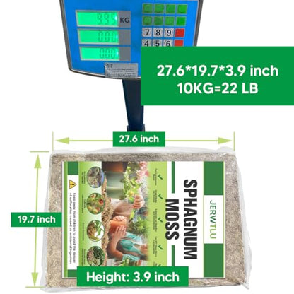 Natural Long Fiber Sphagnum Moss 1196QT for Orchid Potting Mix, and Moss Pole for Plants Indoor. Ideal for Propagating Plants, Maintaining Humidity for Reptiles, Isopods in Paludarium (22 lb) - size: 22 LB