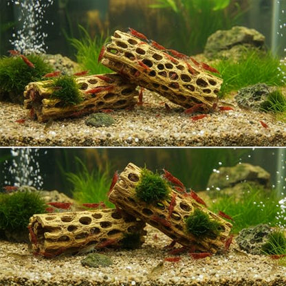 Natural Cholla Wood for Aquarium - 6 Inch Hollow Log Shrimp Hideout, Hermit Crab Climbing Toy, Realistic Driftwood Decor for Fish Tank, Reptile Terrarium Branch Ornament (2 Pack)