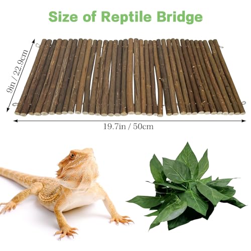 Hamiledyi Bendable Wooden Reptile Hideout Ladder Bridge Hiding Hut Tunnel Toys Climbing Bridge Chew Toy Habitat Accessories for Bearded Dragons Ball Python Guinea Pigs Rabbits(19.7 x 9 in)