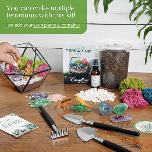 Creations by Nathalie – DIY Large Terrarium Starter Kit with Soil, Moss, Pebbles, Healing Crystal, Tools & Supplies – Terrarium Kit for Adults & Teens, Handcrafted in USA | DIY large terrarium starter kit with premium moss, tools, and essential supplies t