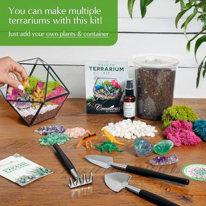 Creations by Nathalie – DIY Large Terrarium Starter Kit with Soil, Moss, Pebbles, Healing Crystal, Tools & Supplies – Terrarium Kit for Adults & Teens, Handcrafted in USA | DIY large terrarium starter kit with premium moss, tools, and essential supplies t