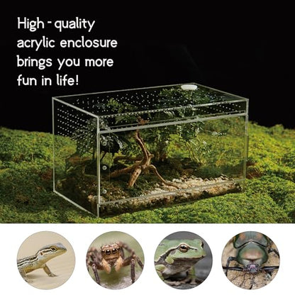 Acrylic Terrarium for Reptiles & Spiders – Small/Medium/Large Leak-Proof Enclosure (Horizontal/Vertical) | Ideal for Tarantulas, Jumping Spiders, Frogs & Geckos (Large, Horizontal) - size: Large