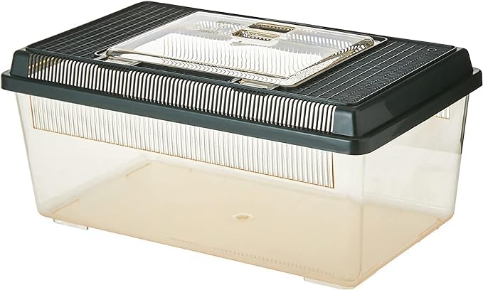 Exo Terra Faunarium Reptile Terrarium, Medium (14" x 8" x 6") | Flat Home Plastic, Perfect for Temporary Housing, Quarantine, or Transport, Transparent Plastic Door for Easy Access - size: Medium