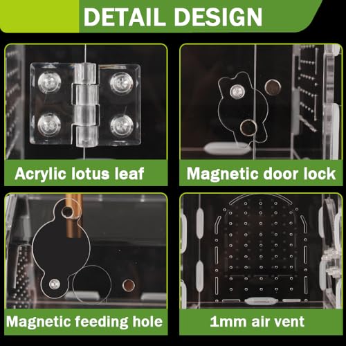 Acrylic Jumping Spider Enclosure with Magnetic Lock | 3mm clear acrylic magnetic front door & feeding port for escape-proof care