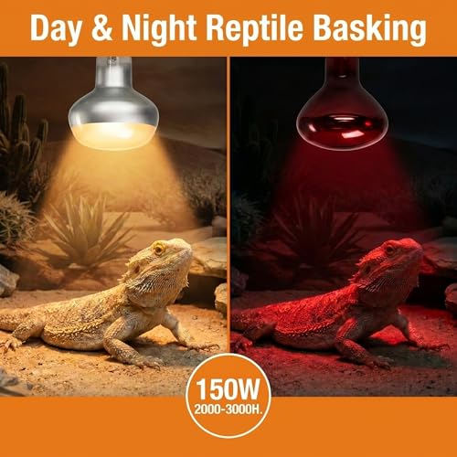2Pack 150W Reptile Heat Lamp, Day & Night Basking Lamp Combo | UVA Daylight Heat Bulb & Infrared Red Night Heating Light, Terrarium Heat Lamps for Reptiles, Bearded Dragon, Lizard, Chicken