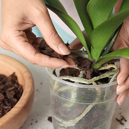 Doter Organic Orchid Potting Bark 1 QT, Featured Chunks Bark Garden Soil Amendment Mix for Proper Root Development of Phalaenopsis, Cattleyas and More