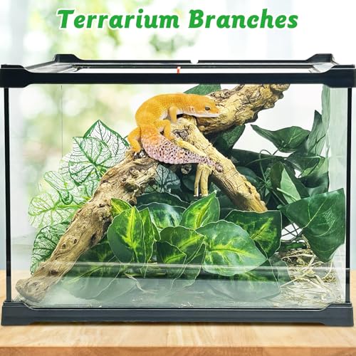 Reptile Branch Decor 2 Pcs Snake Climbing Wood Branches Lizard Habitat Decorations Terrarium Natural Forest Tree Trunk Ornament for Bearded Dragon Geckos Chameleon Frog