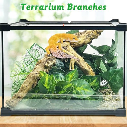 Reptile Branch Decor 2 Pcs Snake Climbing Wood Branches Lizard Habitat Decorations Terrarium Natural Forest Tree Trunk Ornament for Bearded Dragon Geckos Chameleon Frog