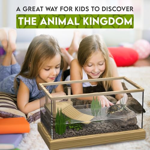 Okkbi Turtle Aquarium Kit Series - New - Aquatic Turtle Tank with Filter and Light + Basking Platform, Perfect Starter Kit for Baby & Juvenile Turtles