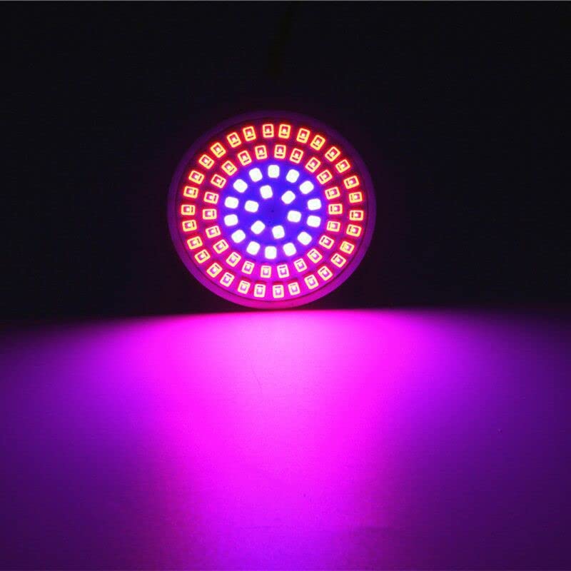 Grow Light Bulb, Full Spectrum 7W Grow Lamp (50 Watt Equiv),E26 Base Perfect for Seeding and Growing of Indoor Plants, Seed Starting,Flowers 4 Pack