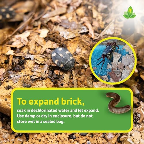 Josh's Frogs Compressed Natural Tropical Leaf Litter Brick, 500g | All-Natural Leaf Fragments for Isopods, Millipedes, Crabs, Detritivores