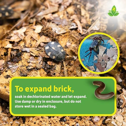 Josh's Frogs Compressed Natural Tropical Leaf Litter Brick, 500g | All-Natural Leaf Fragments for Isopods, Millipedes, Crabs, Detritivores