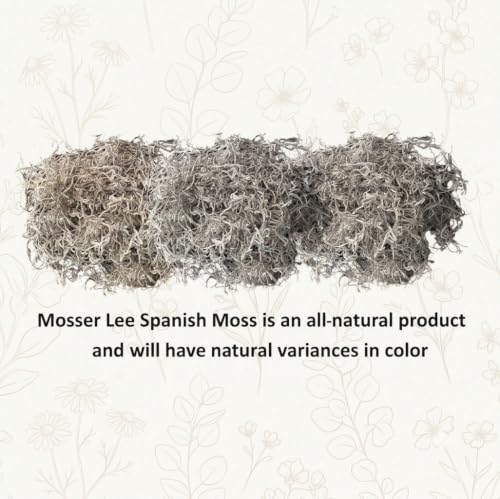 Mosser Lee Spanish Moss – Natural Decorative Moss for Houseplants, Soil Cover, Crafts, Terrariums & Floral Arrangements - 400 Cubic Inches (Approx 9oz) - size: 400 Cubic Inches